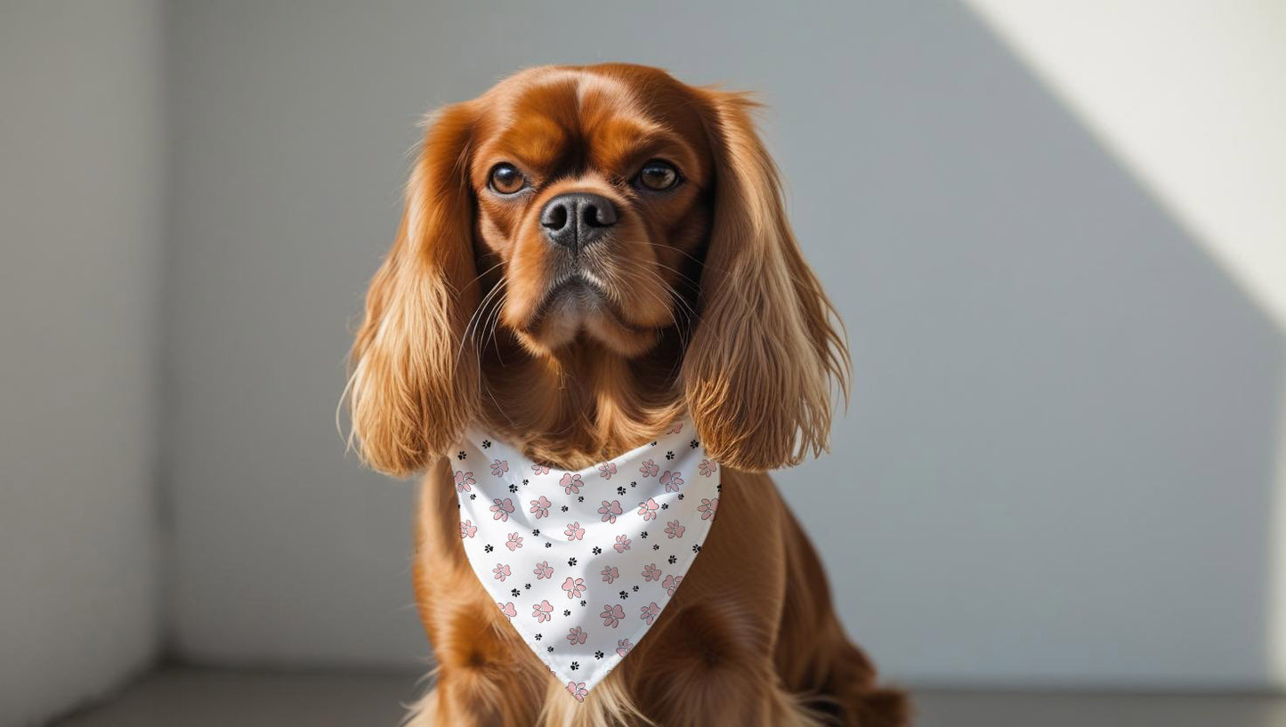Pet bandana collar pink paw pattern