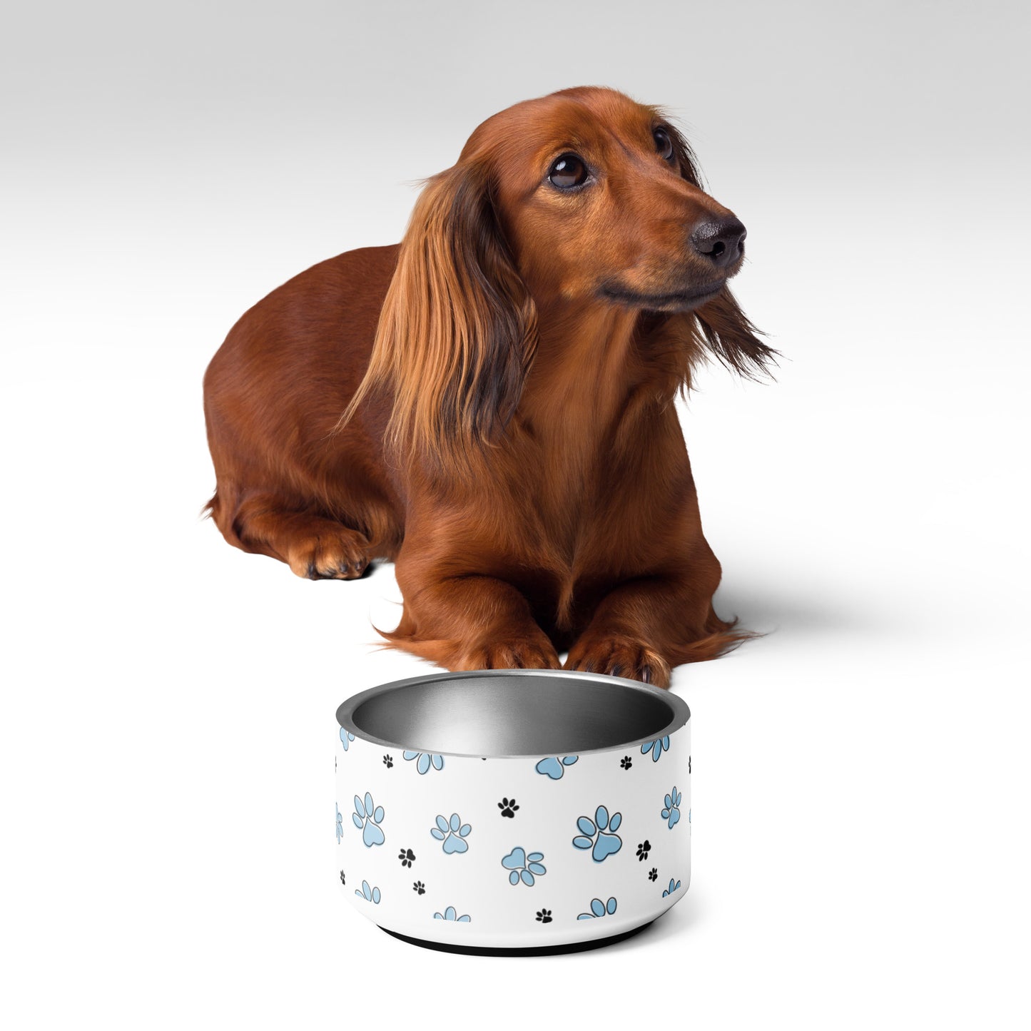 Pet bowl blue paw pattern