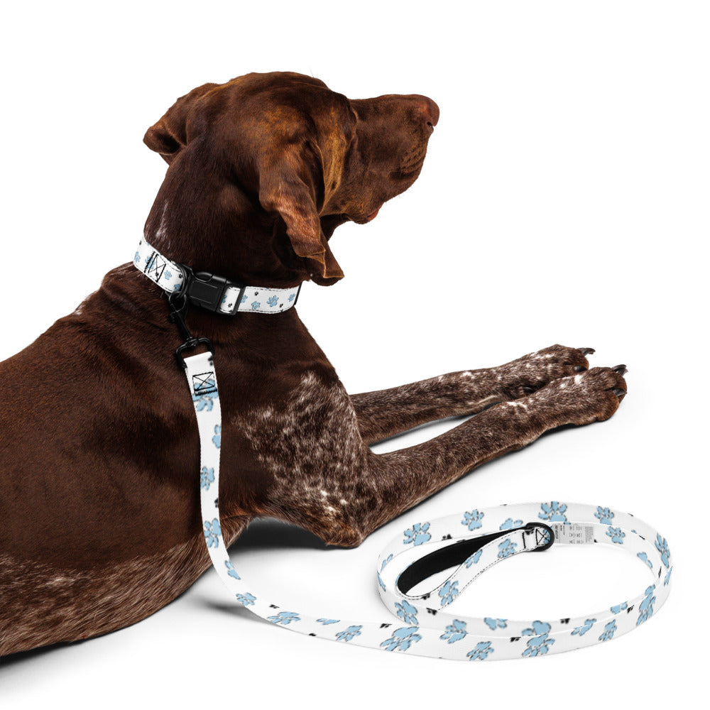 Pet collar & leash blue paw pattern