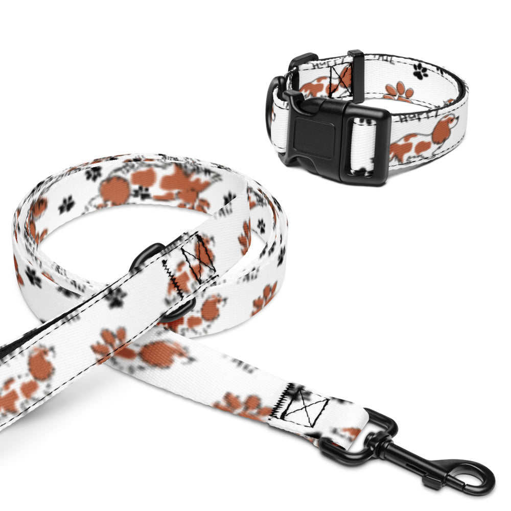 Pet collar & leash  Cavalier King