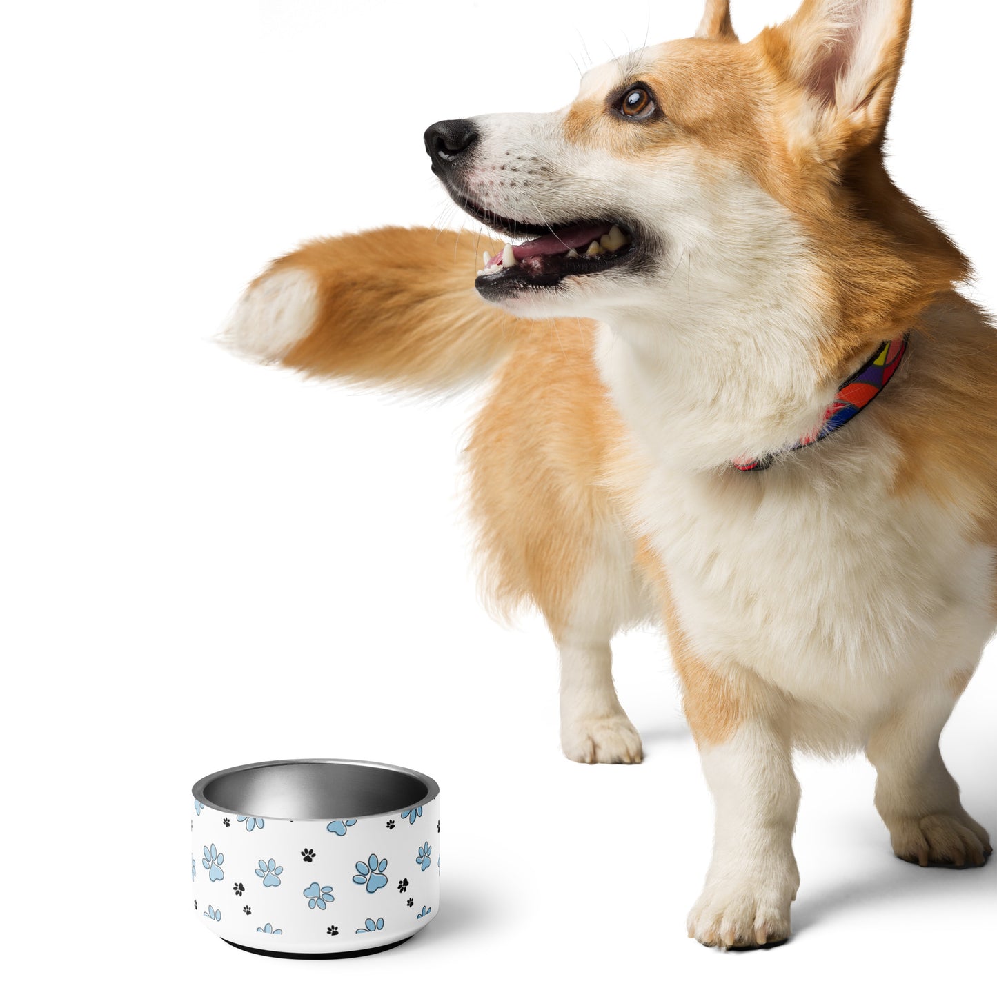 Pet bowl blue paw pattern