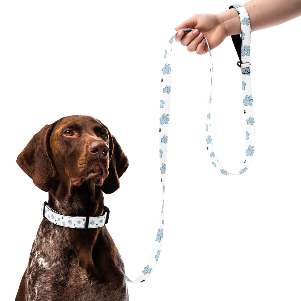 Pet collar & leash blue paw pattern