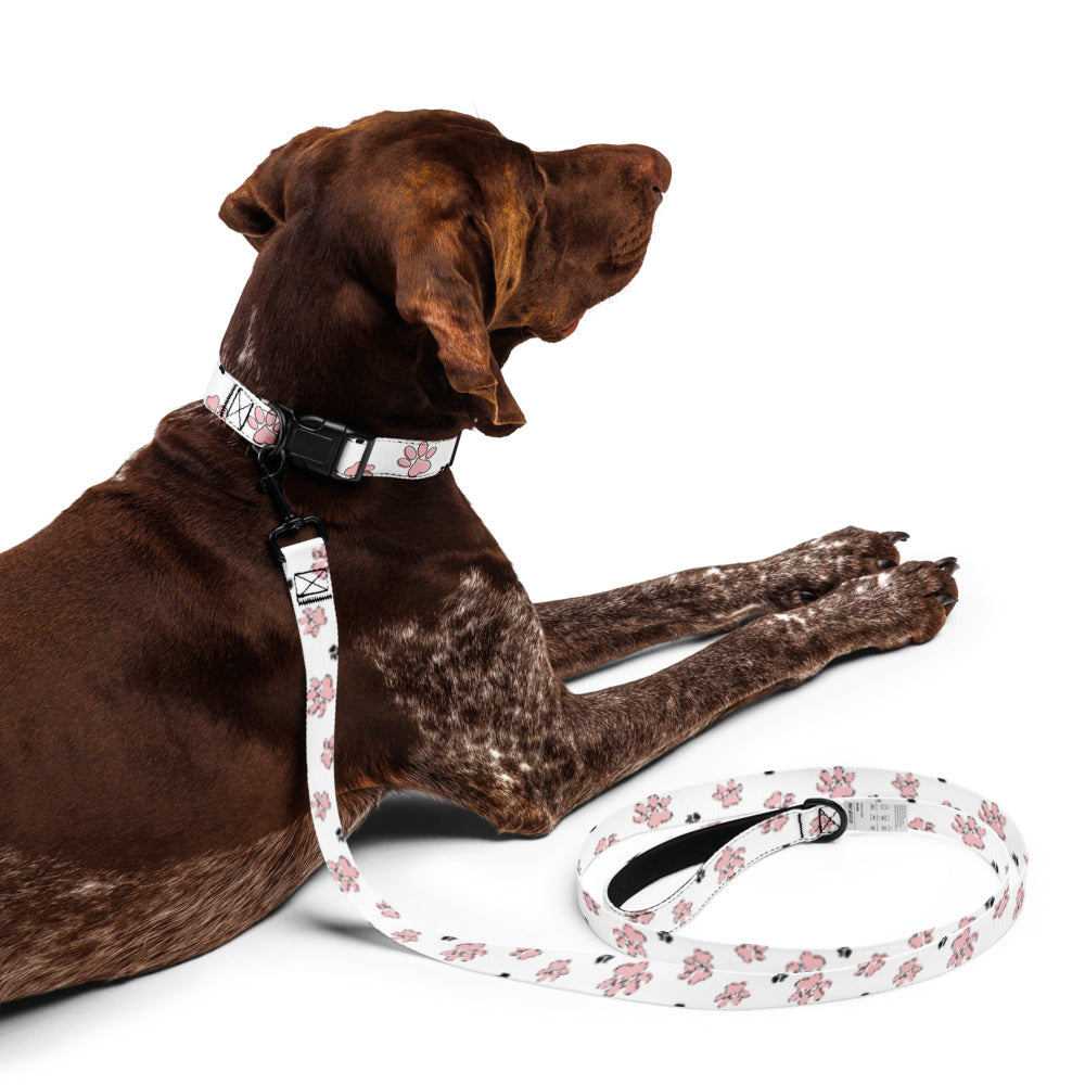 Pet collar & leash pink paw pattern